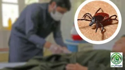 First Case of Congo Fever Reported in Sindh, 17-Year-Old Under Treatment