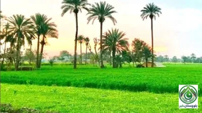 بھکر میں گرین پاکستان انیشیٹو کے تحت بنجر زمین جدید زرعی مرکز میں تبدیل
