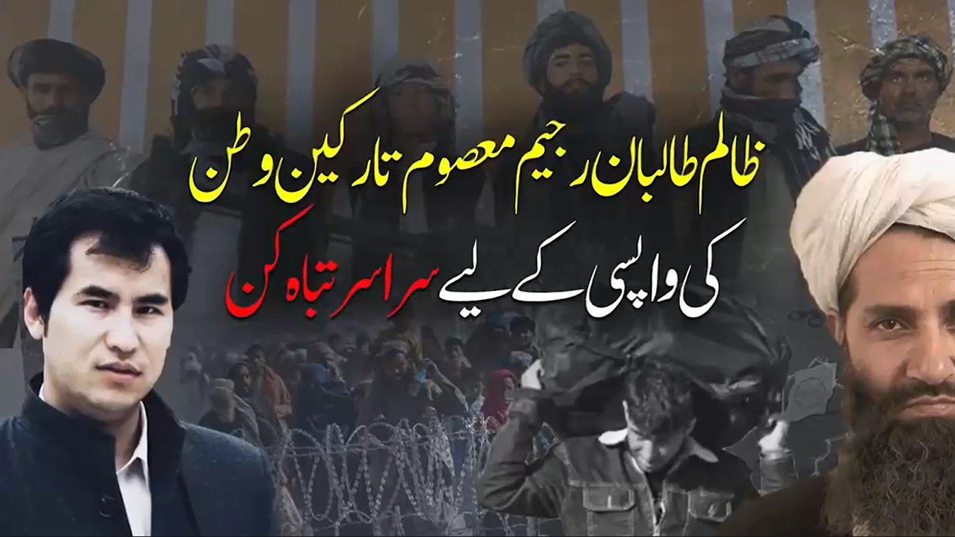 ایمنسٹی انٹرنیشنل اور عالمی برادری نے طالبان کے گمراہ کن دعووں کا پول کھول دیا