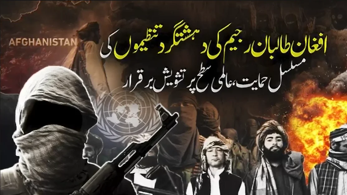 افغان طالبان کی دہشتگرد نیٹ ورکس کی پشت پناہی: عالمی برادری کے تحفظات برقرار