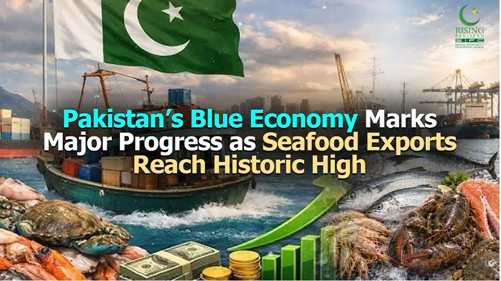پاکستان کی سمندری خوراک کی برآمدات میں تاریخی اضافہ، حجم پہلی بار 56 کروڑ ڈالر سے تجاوز کر گیا