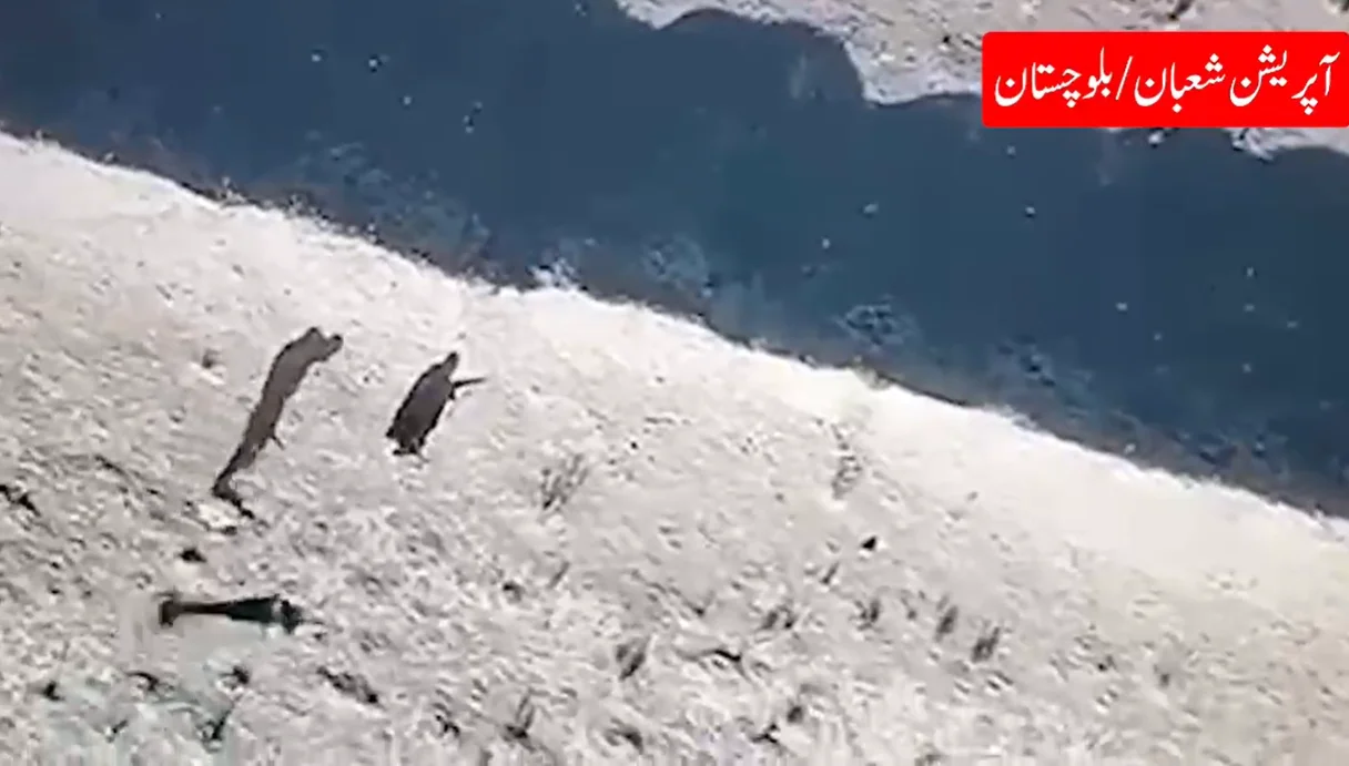 : بلوچستان میں سیکیورٹی فورسز کے آپریشنز، 71 دہشت گرد ہلاک