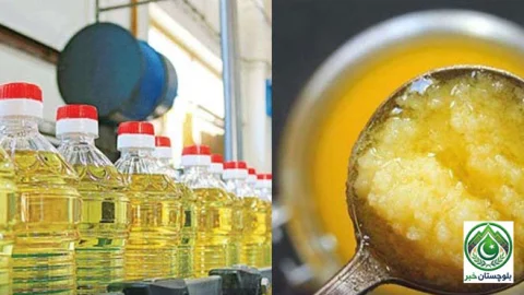 خوردنی تیل کی درآمدات ریکارڈ سطح پر پہنچ گئیں، اربوں ڈالر خرچ
