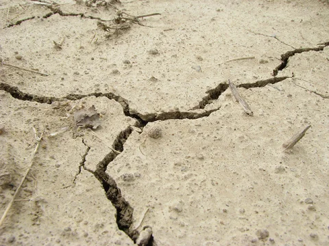 .کوئٹہ سمیت بلوچستان کے مختلف اضلاع میں 5.1 شدت کا زلزلہ