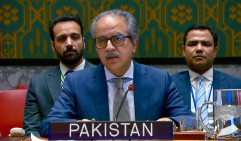 پاکستان کا سلامتی کونسل میں اسرائیل سے غیر قانونی آبادکاری فوری بند کرنے کا پرزور مطالبہ