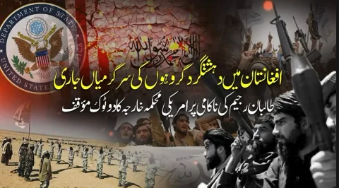 Afghan Taliban Fail to Curb Terrorism, US State Department Issues Clear Warning