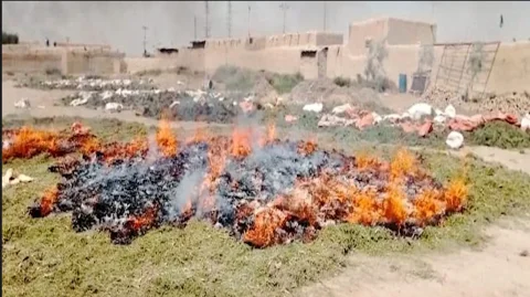 بلوچستان: پشین میں منشیات بنانے والی فیکٹری پر چھاپہ، 33 ہزار کلو منشیات تلف