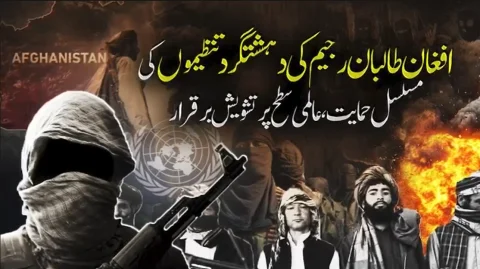 افغان طالبان کی دہشتگرد نیٹ ورکس کی پشت پناہی: عالمی برادری کے تحفظات برقرار