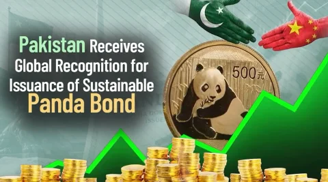 پائیدار پانڈا بانڈ کا اجرا، پاکستان کو عالمی اعزاز مل گیا