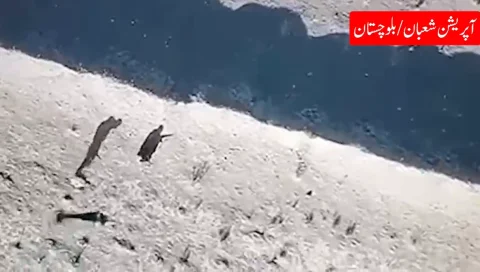 : بلوچستان میں سیکیورٹی فورسز کے آپریشنز، 71 دہشت گرد ہلاک